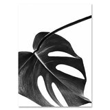 Black and White Horse Flower Wall Art Canvas Poster Print Nordic Style - Cozy Nursery
